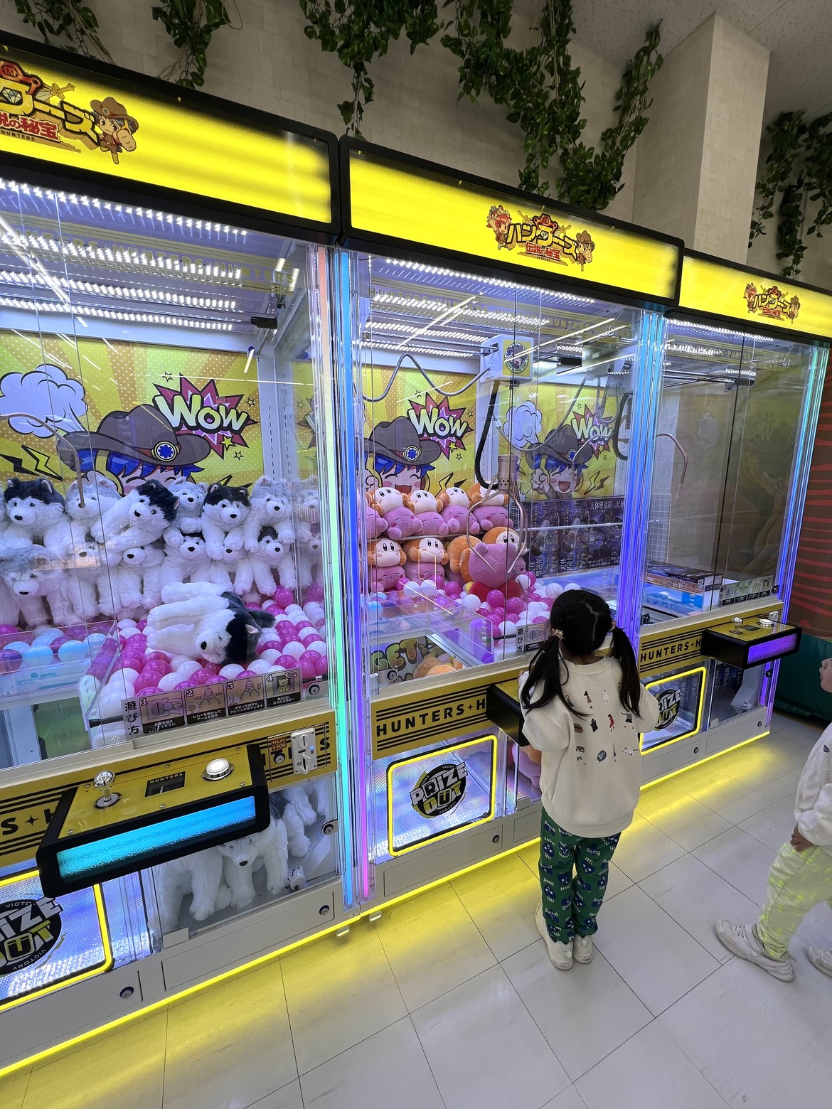 ずらりと並んだクレーンゲームの筐体