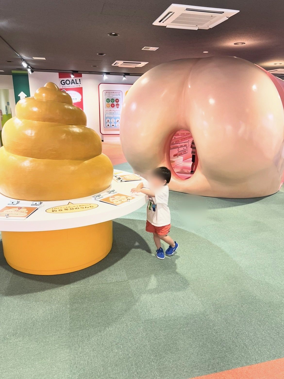 大きなうんちの模型とおしりの出口
