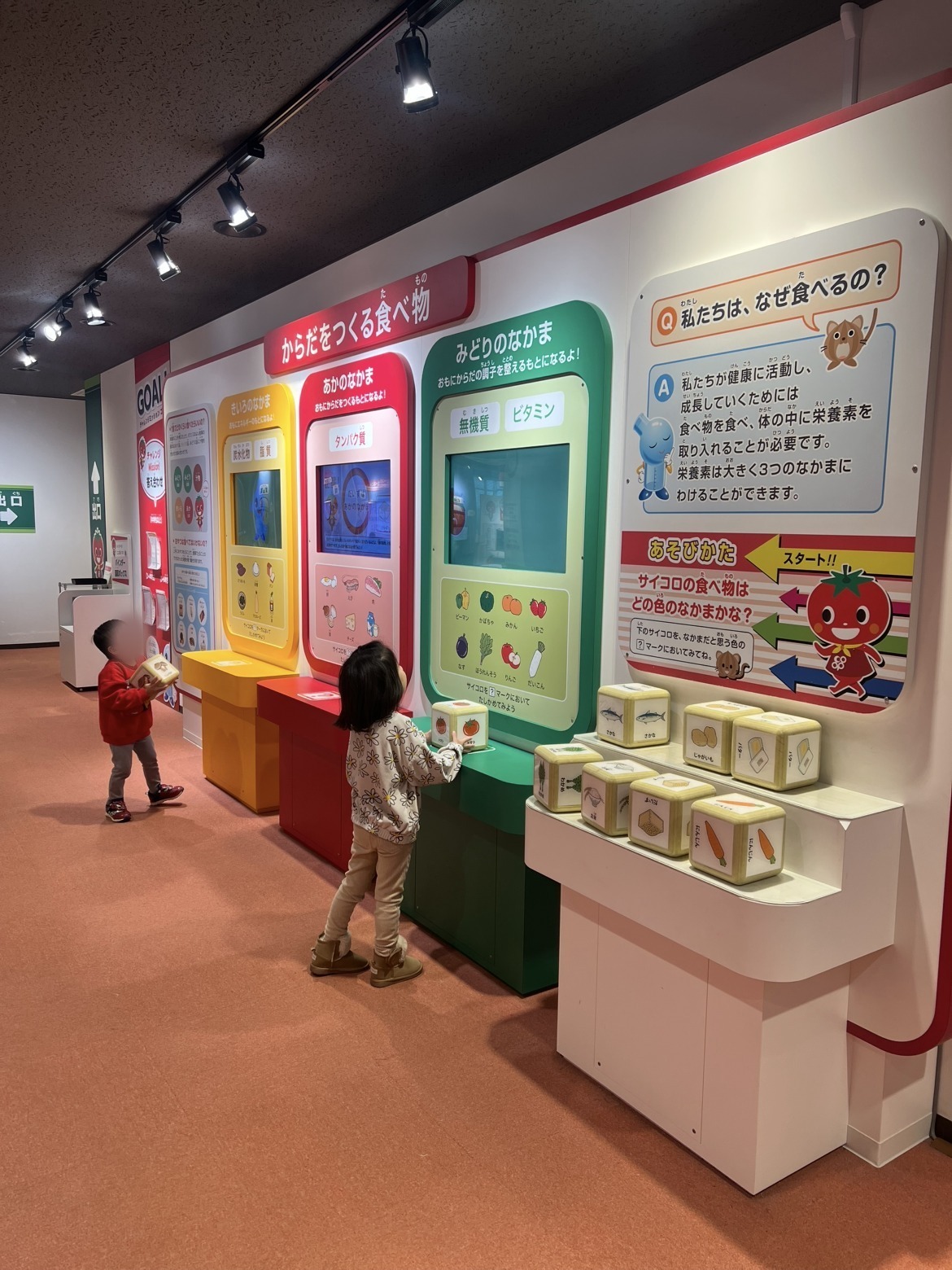 からだをつくる食べ物を紹介する壁の展示