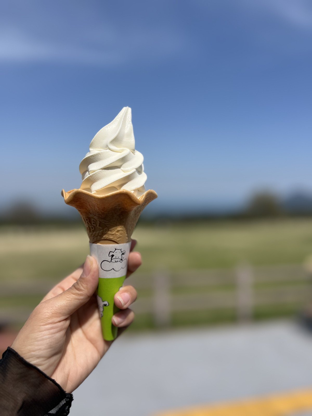 白バラ牛乳のソフトクリーム
