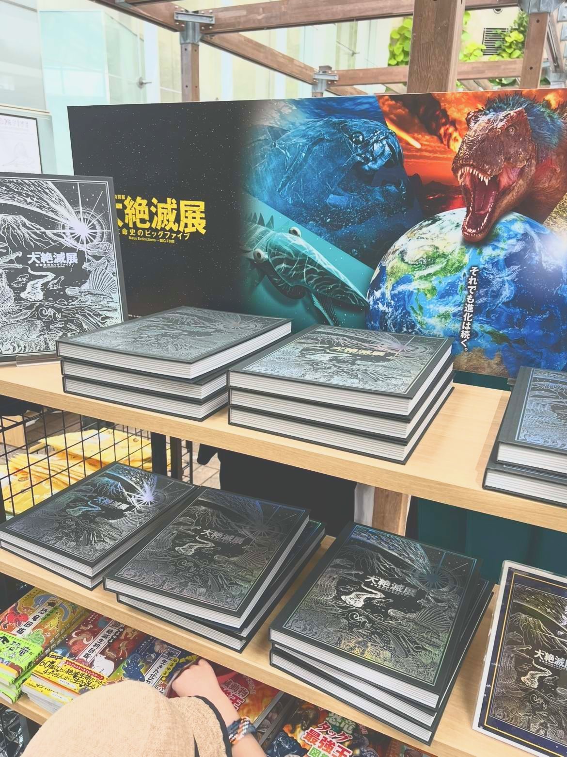 公式図録
