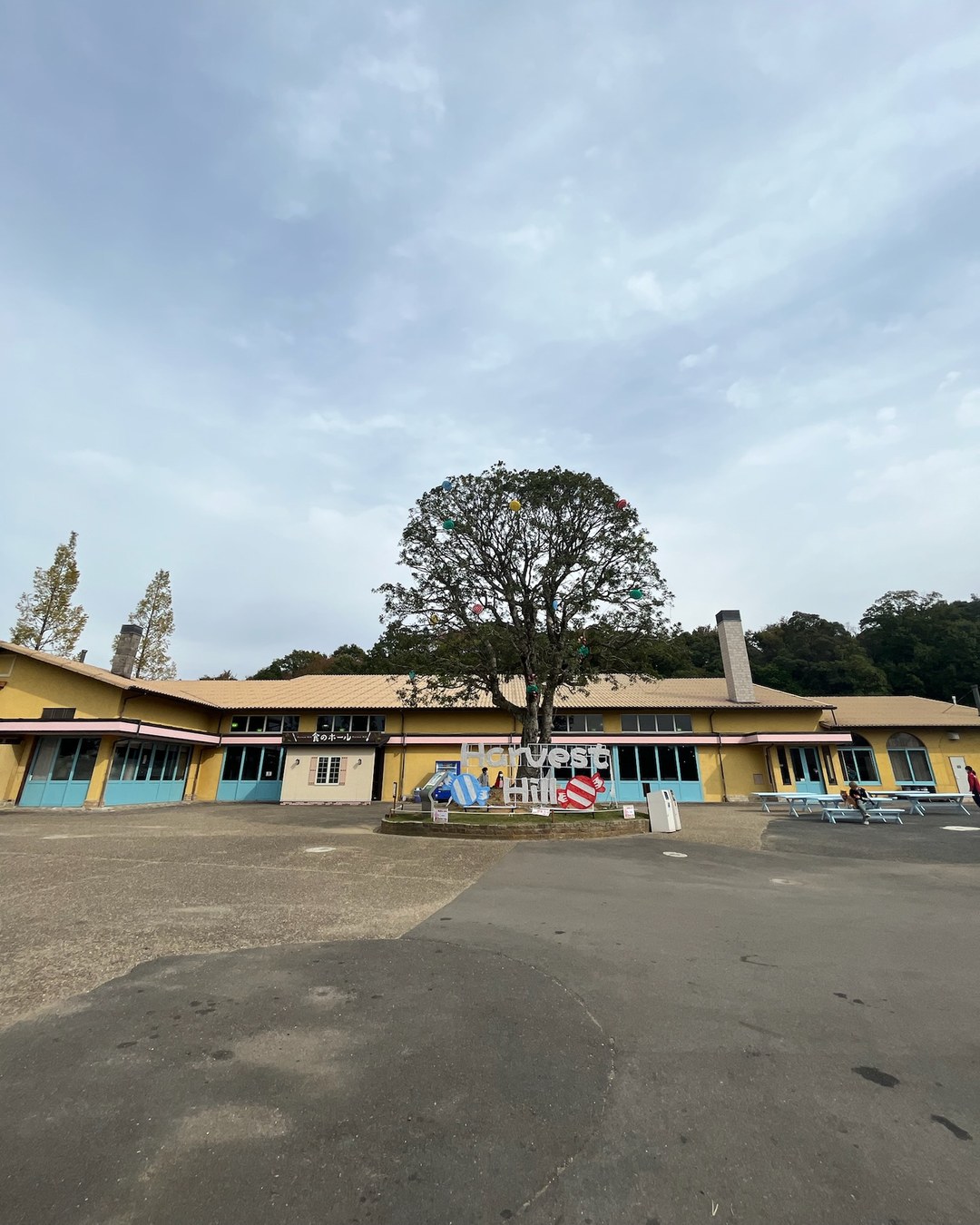 食のホールのある広場