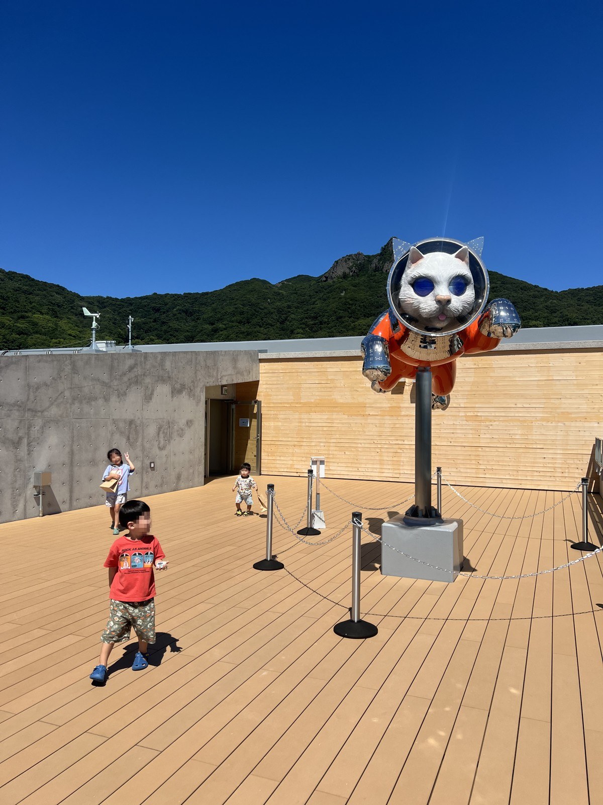 甲板に立つ猫のキャラクターの像