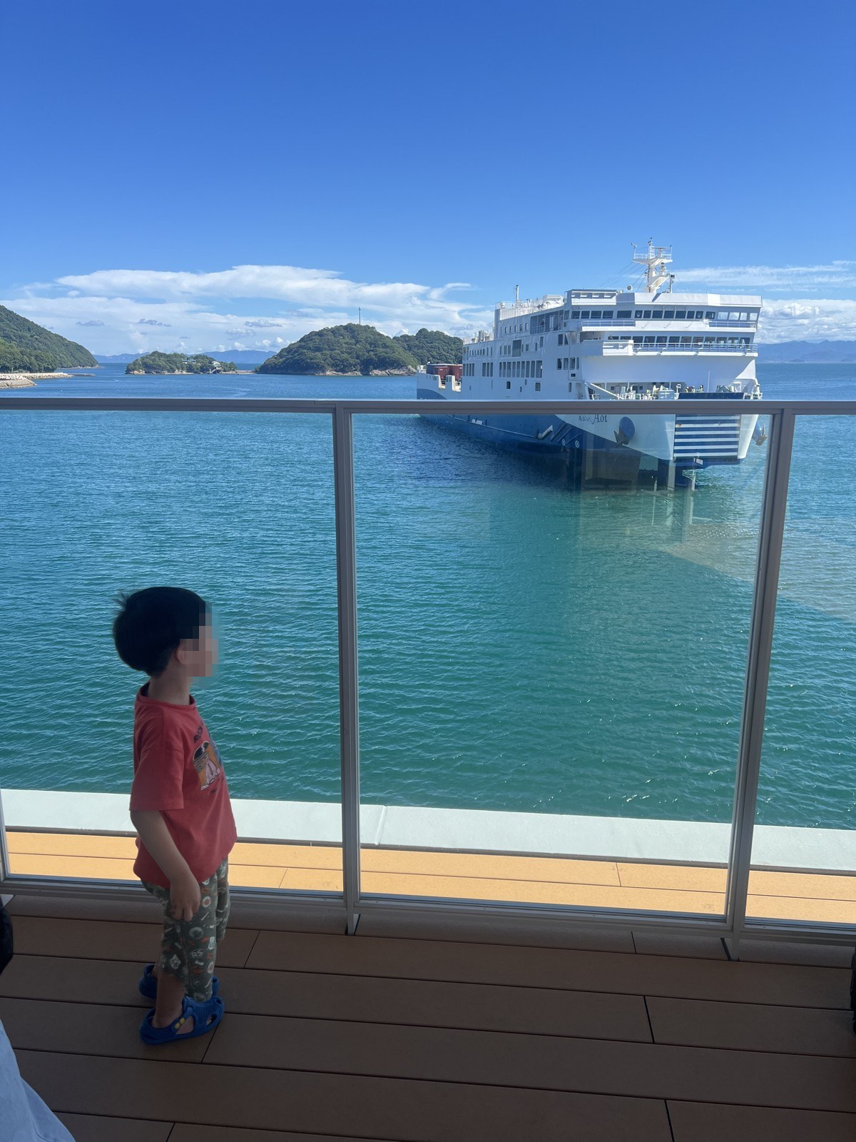 ジャンボフェリーで神戸から小豆島へ。子連れの船旅は個室が正解だった体験談