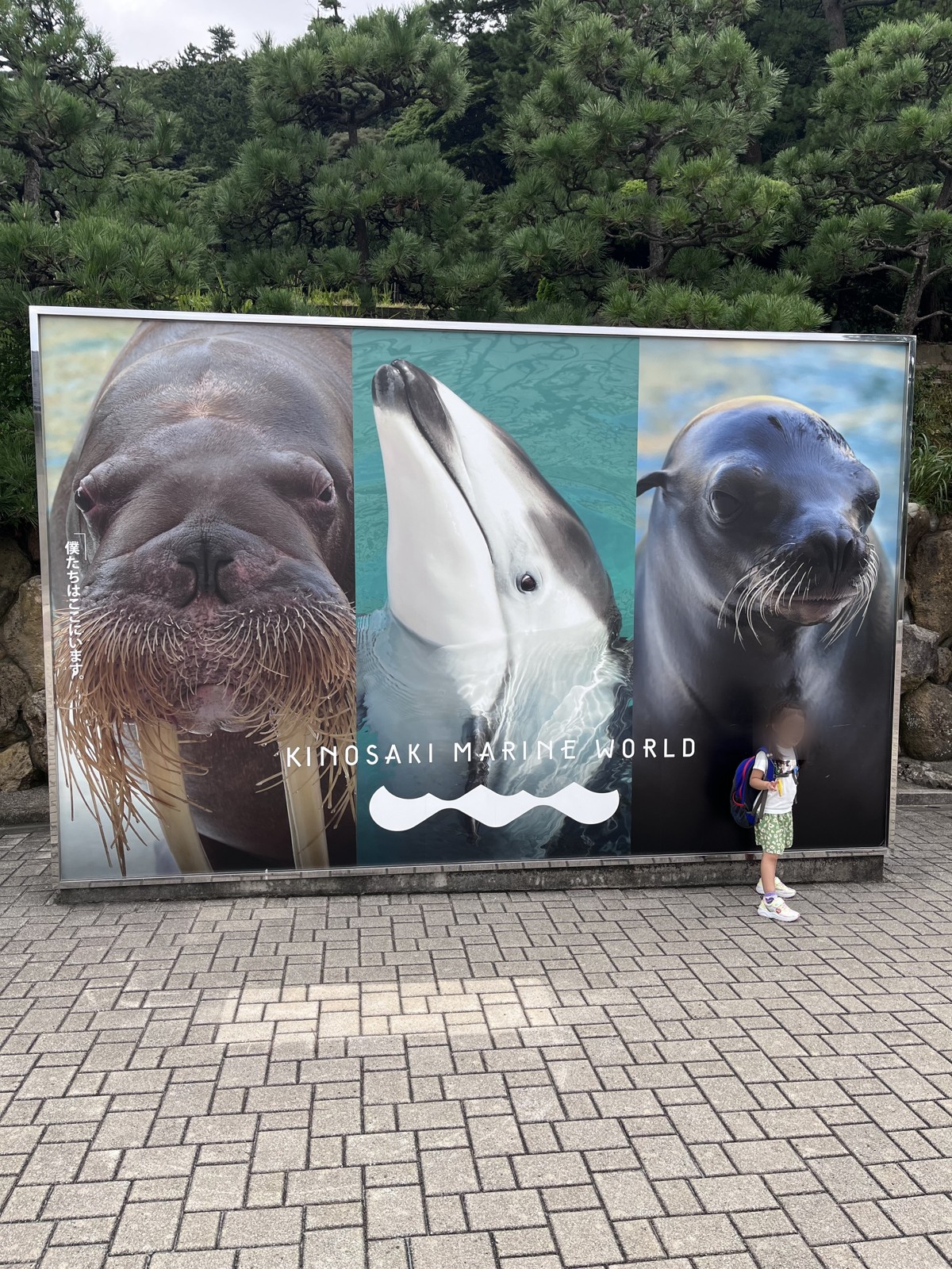 城崎マリンワールドは子連れで楽しめる?触って体験できる「水族館以上」に三世代で行ってきた