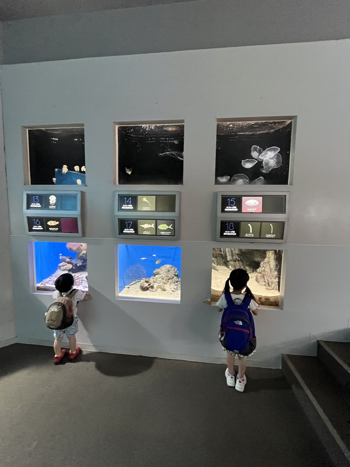 小さな展示窓をのぞきこむ子どもたち