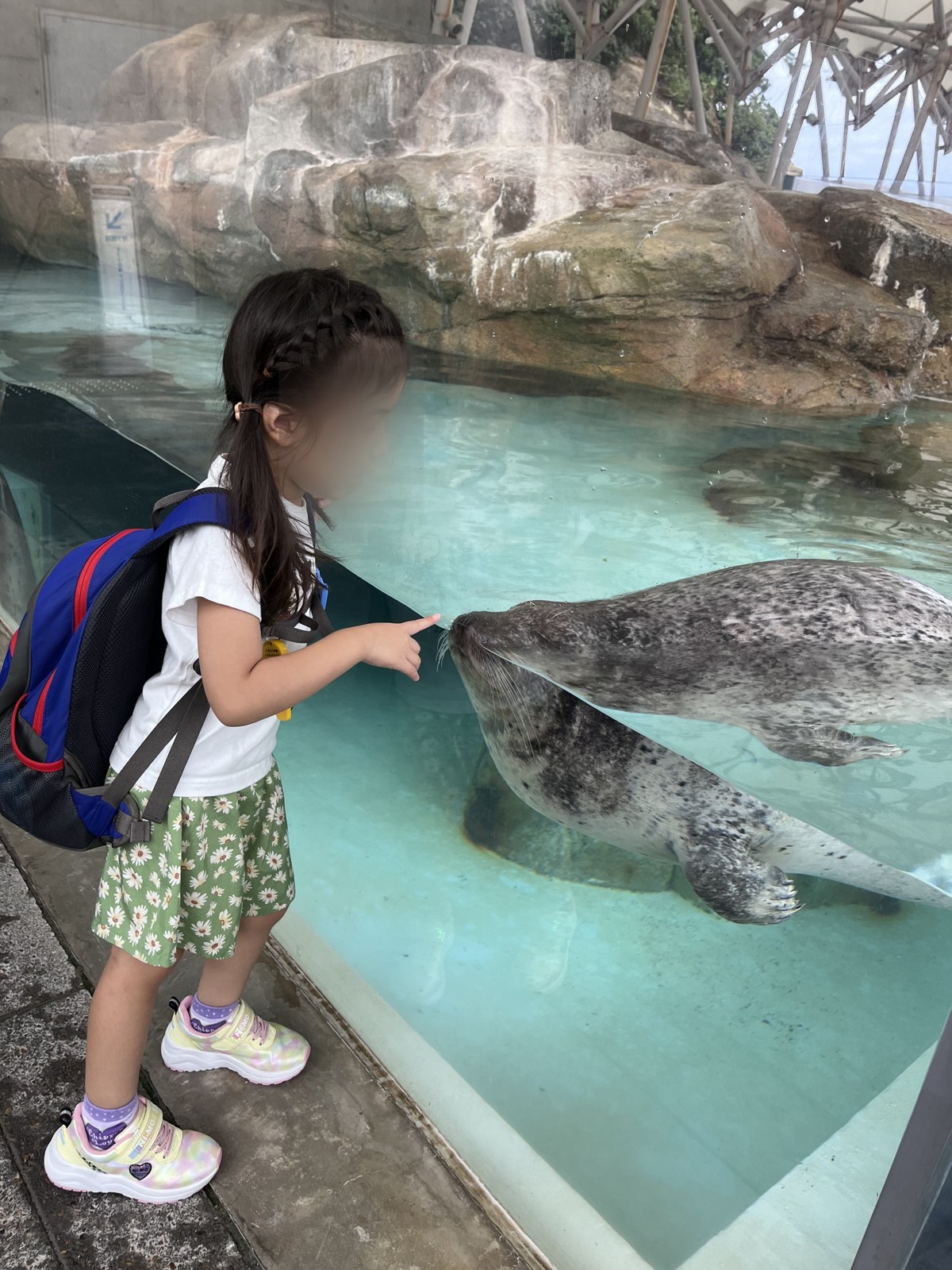 大きな水槽のアザラシを間近で見る子ども