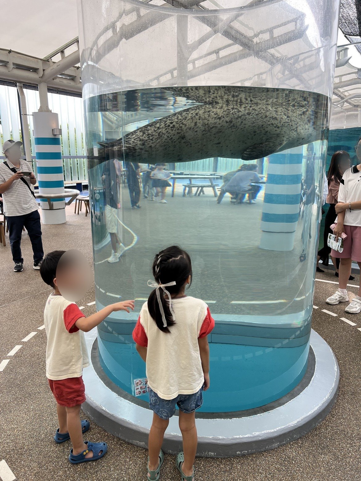 京都水族館は子連れで回りやすい?ベビーカーのまま見られる水族館に行ってきた