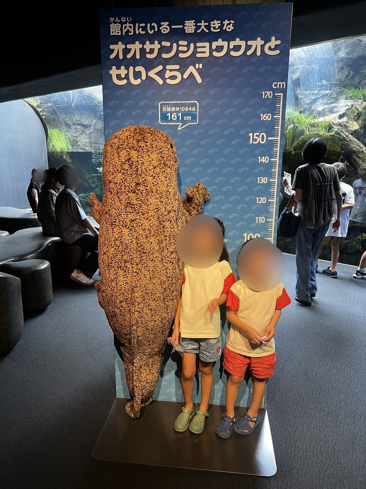 オオサンショウウオと背比べできるパネル