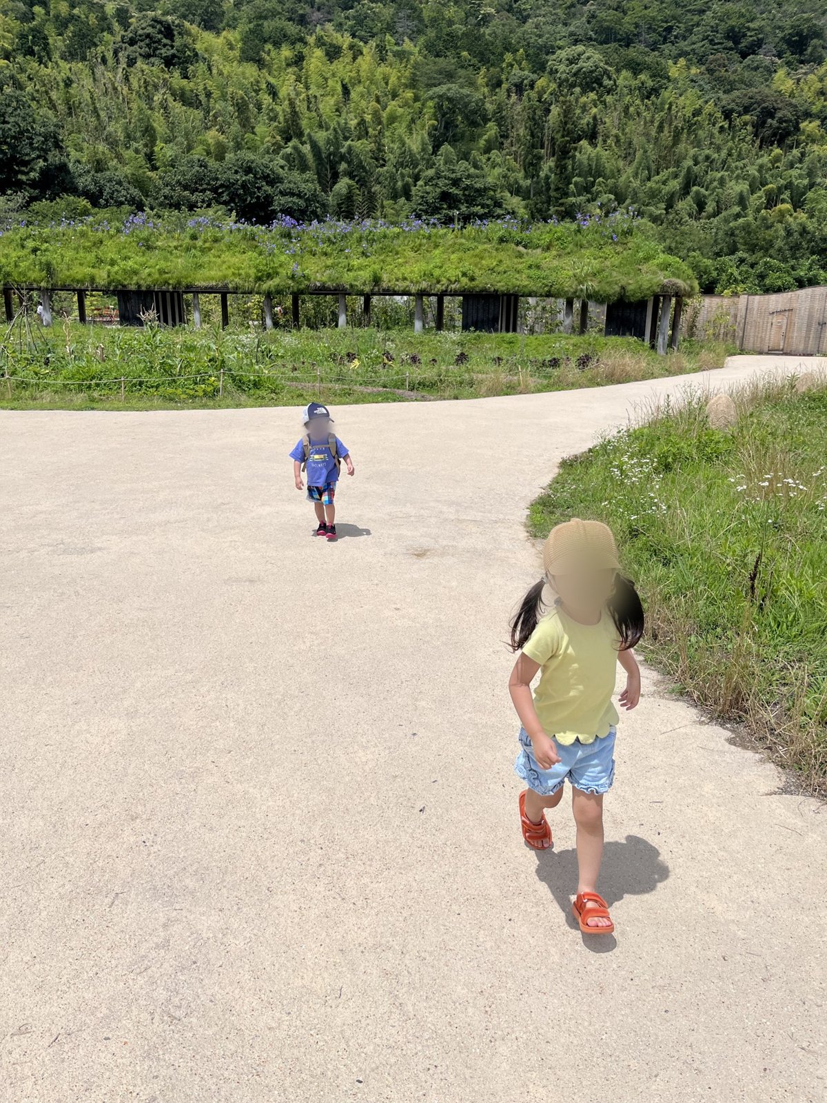 緑の中にのびる散策路