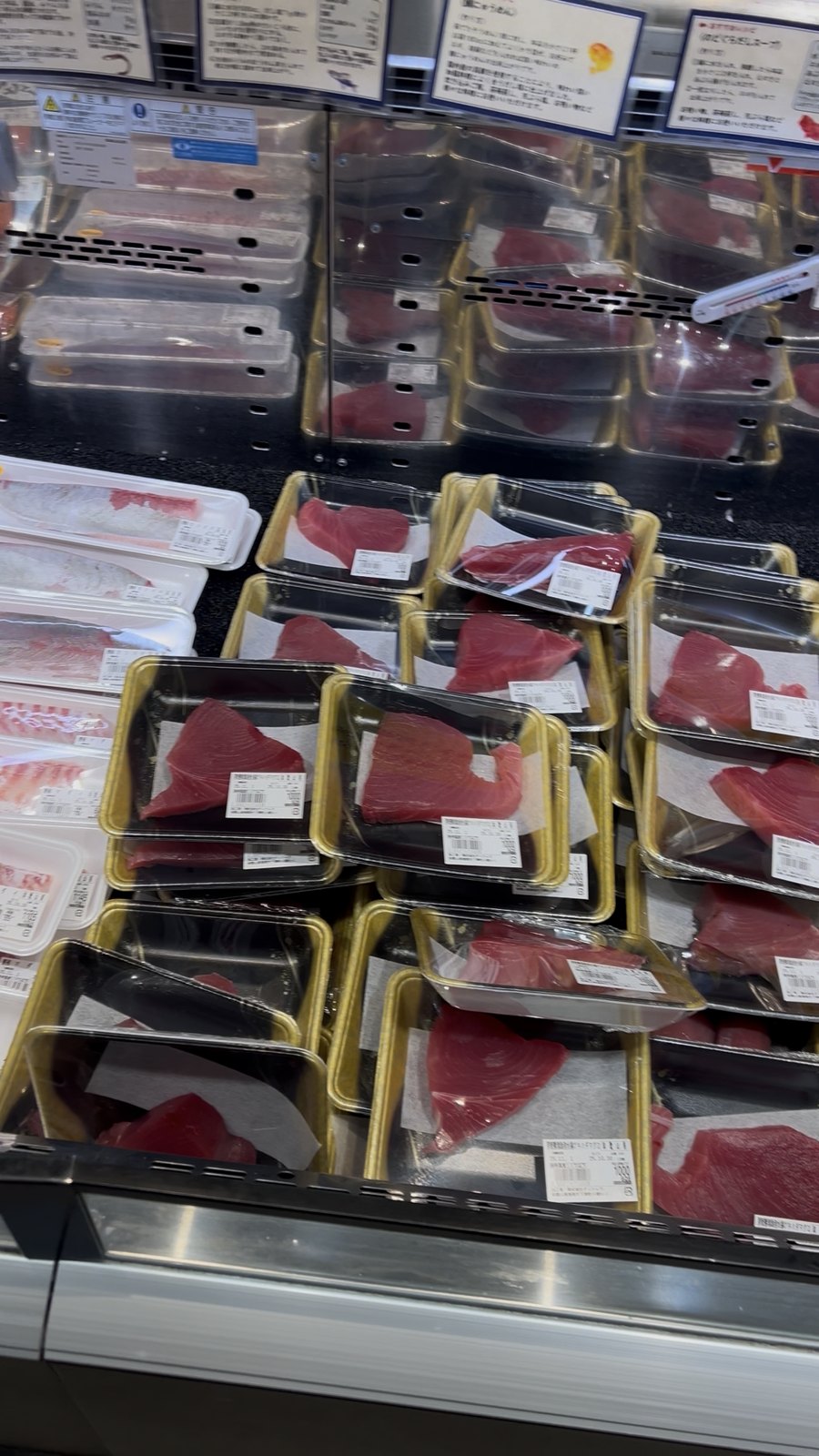 鮮魚コーナーに並ぶマグロのサク