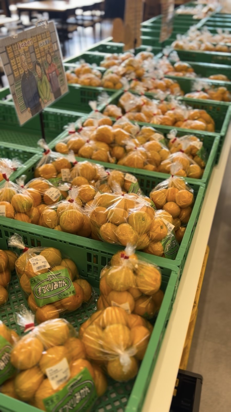 緑のかごに並ぶ、袋詰めのみかん