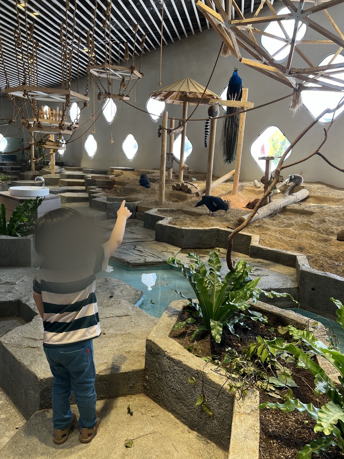 ニフレル(EXPOCITY)は子連れで行きやすい?生きものとの距離が近い体験型ミュージアム