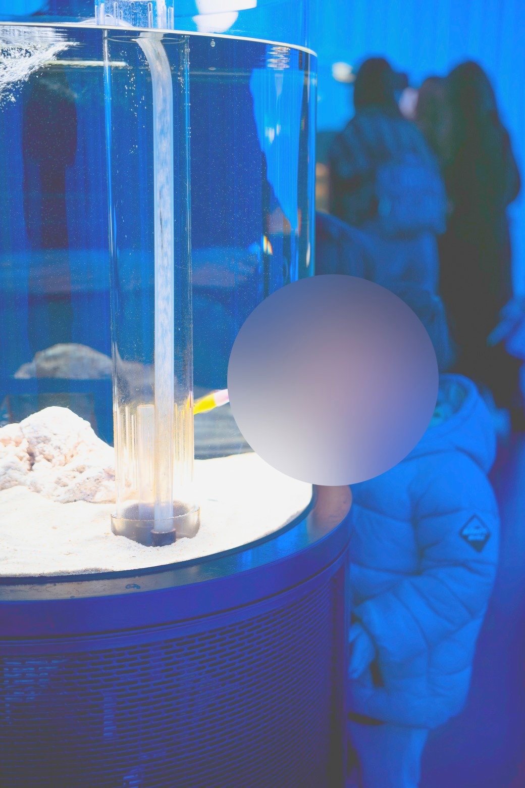 低い位置にある水槽をのぞきこむ子ども