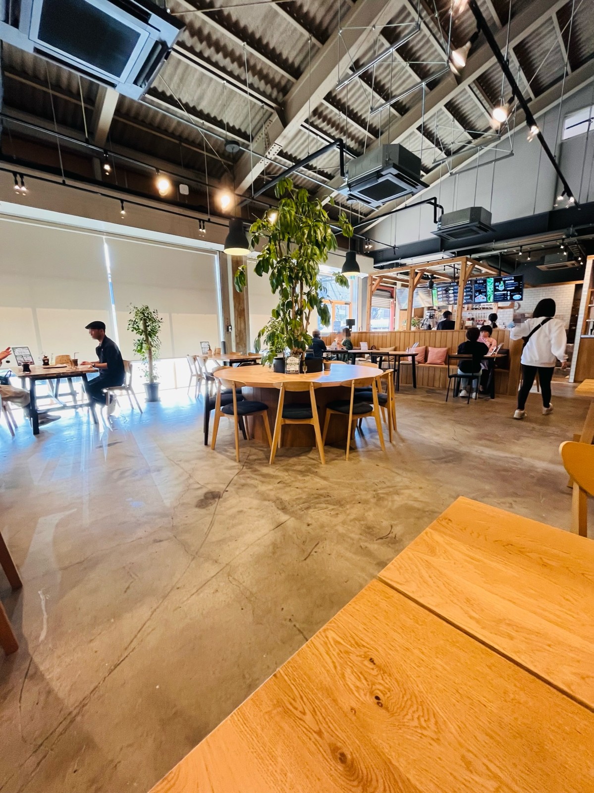 観葉植物に囲まれたカフェスペース