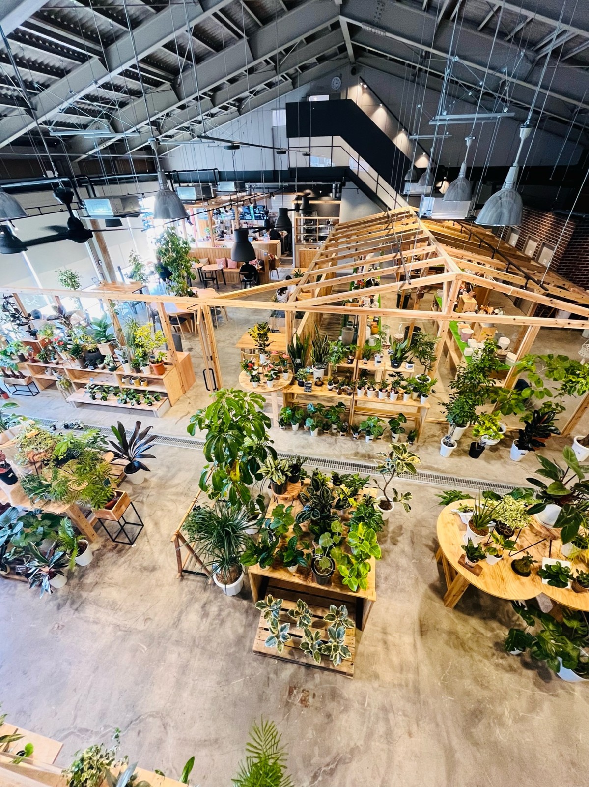 2階から見下ろした観葉植物の売り場