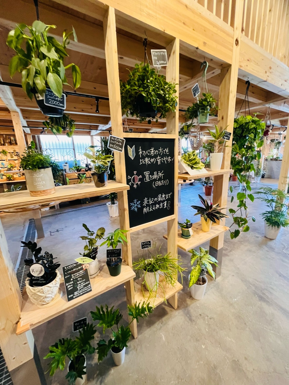 黒板に育て方が書かれた植物の棚