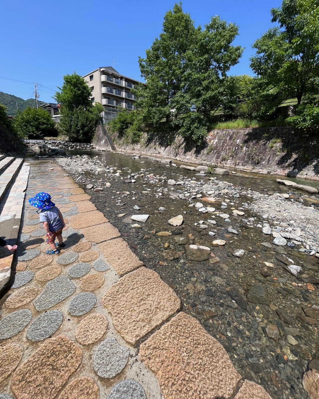 石畳の護岸から入れる浅くて澄んだ箕面川