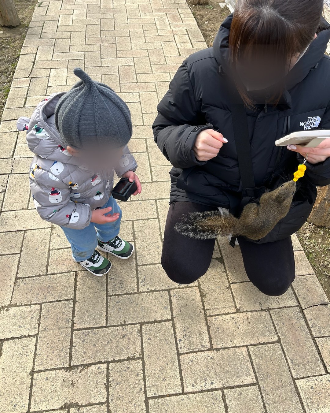 手にのせたエサを食べに来たリス