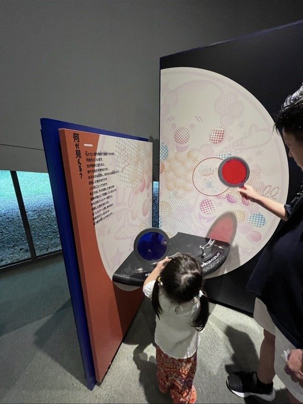 赤と青のフィルターを動かす展示