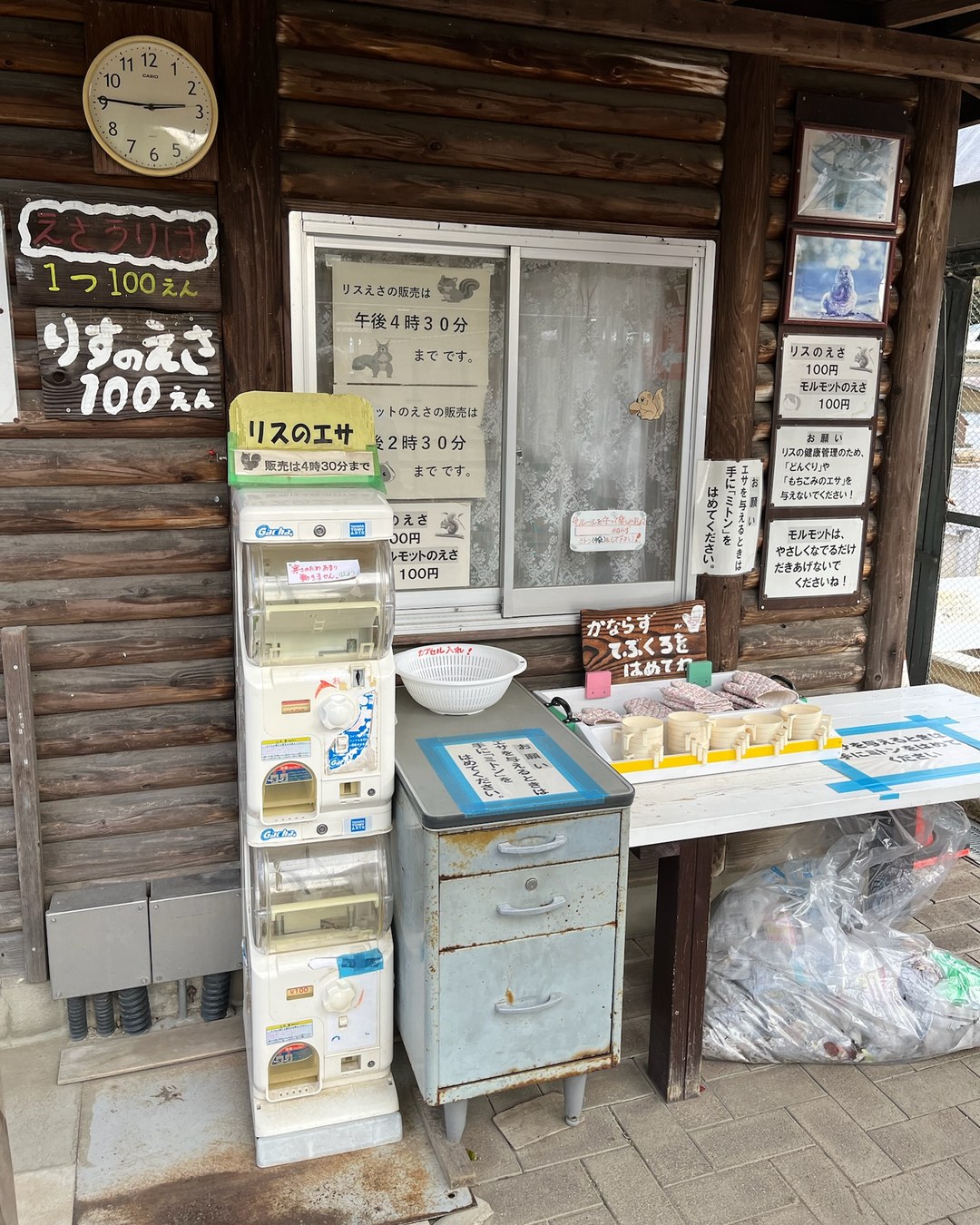 リスのエサの販売機と注意書きが並ぶ受付