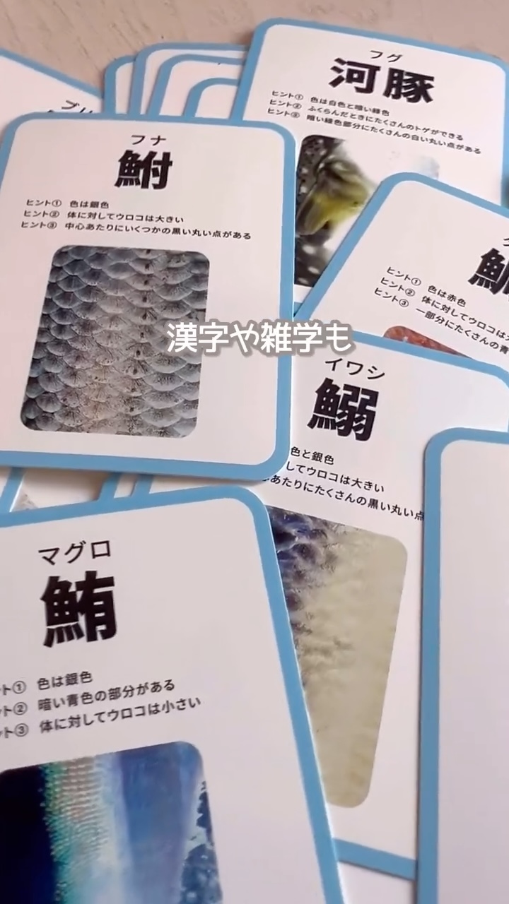 漢字と雑学が書かれた読み札