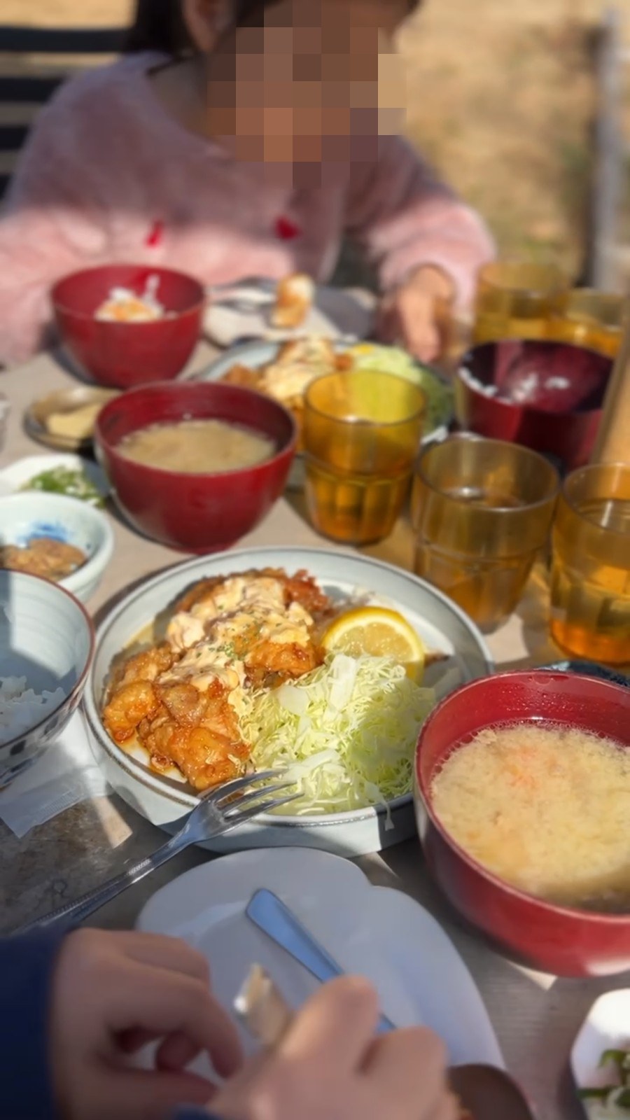 揚げ物とキャベツののったワンプレートと、お味噌汁