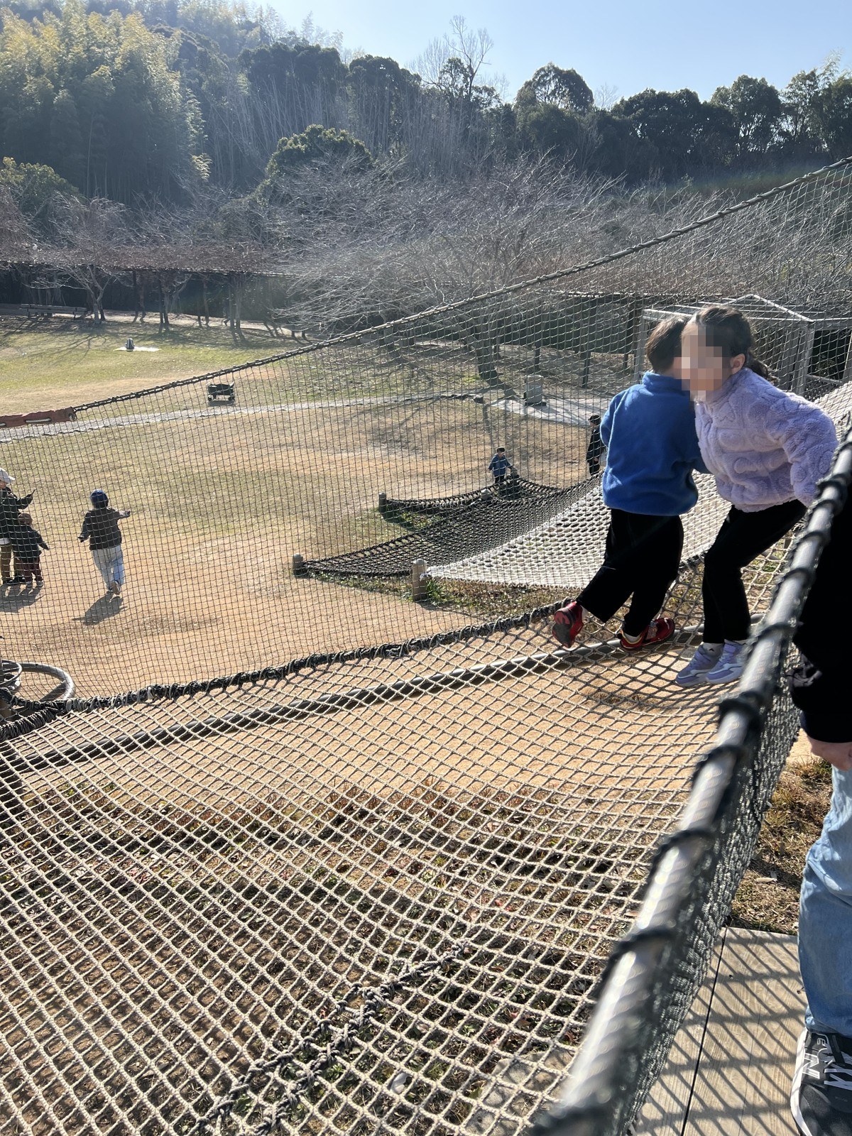 斜面に張られた大きなネット遊具の上を歩く子ども
