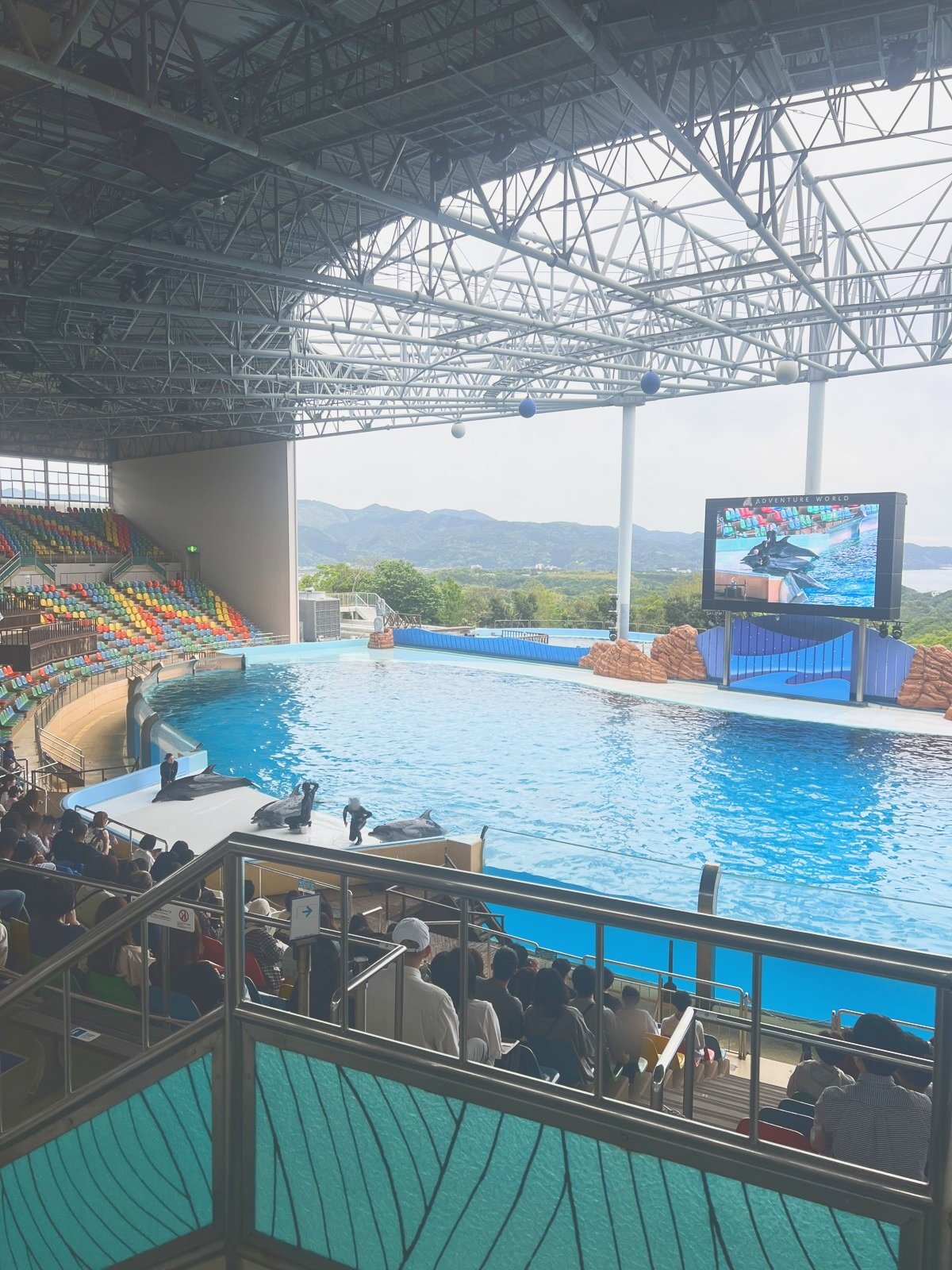 海獣館のスタジアム