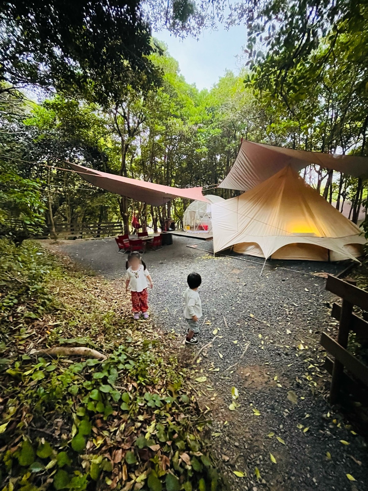 木立に囲まれたテントサイトを走る子どもたち