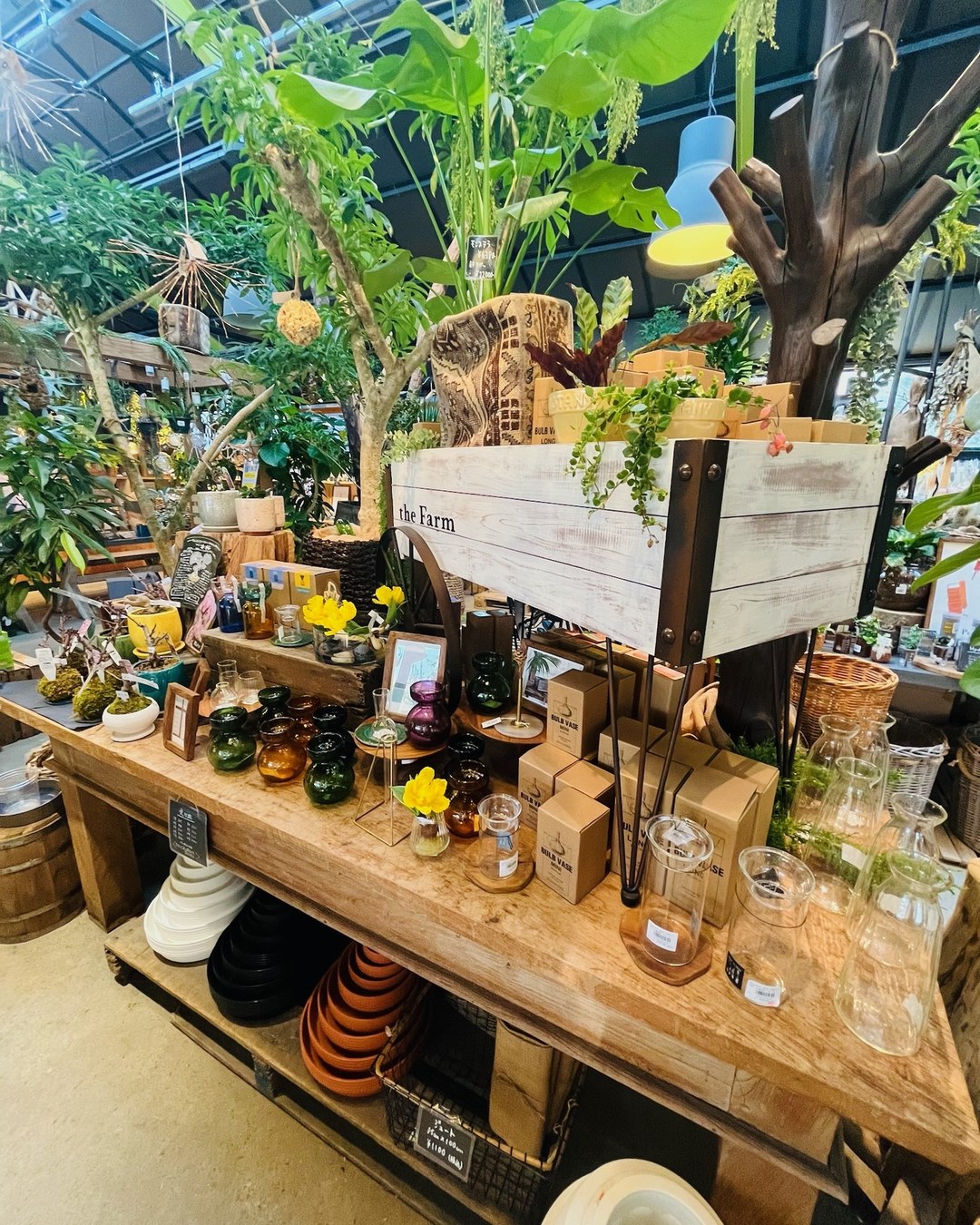 観葉植物の温室と雑貨のディスプレイ