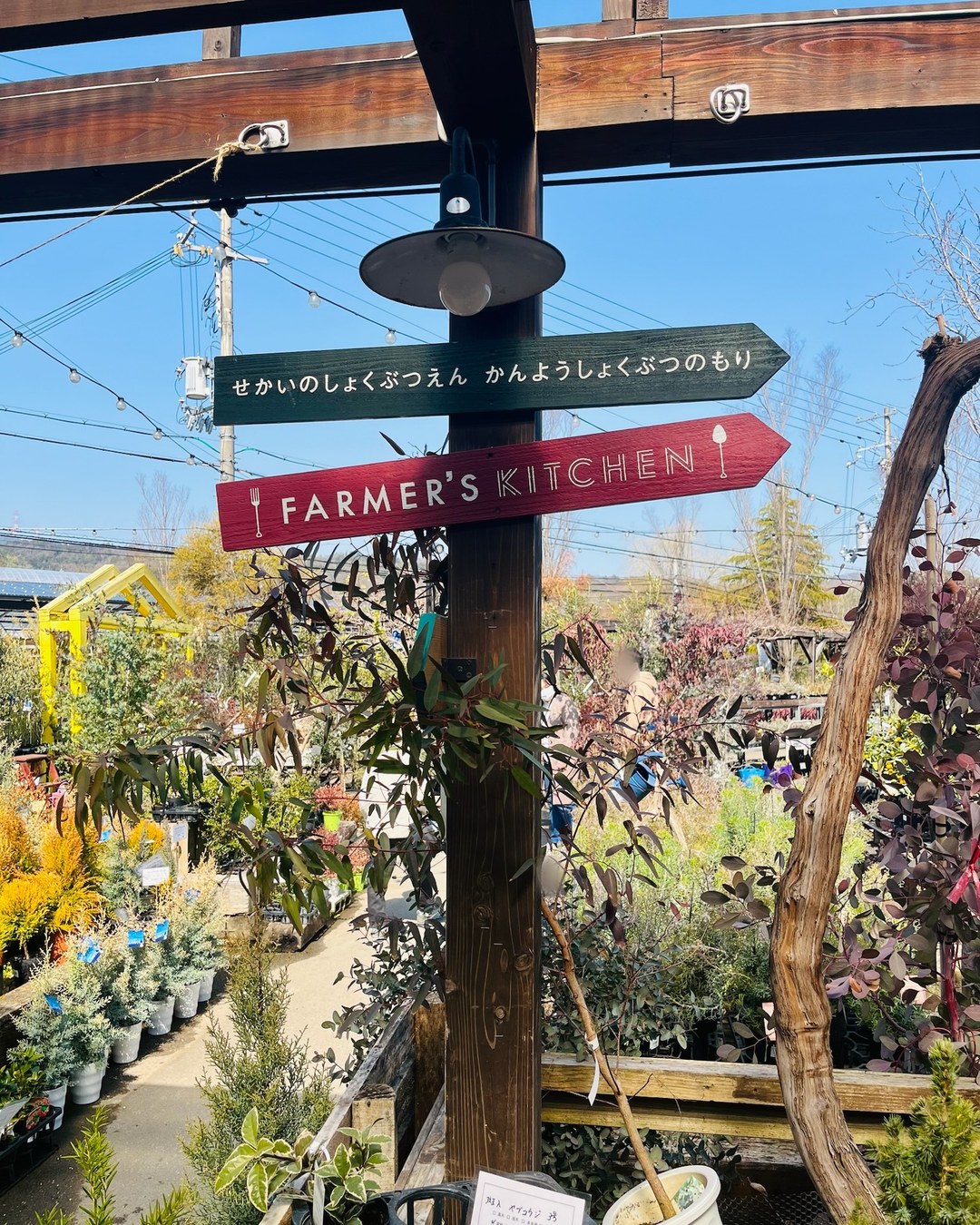 「せかいのしょくぶつえん」と「FARMER'S KITCHEN」の道標