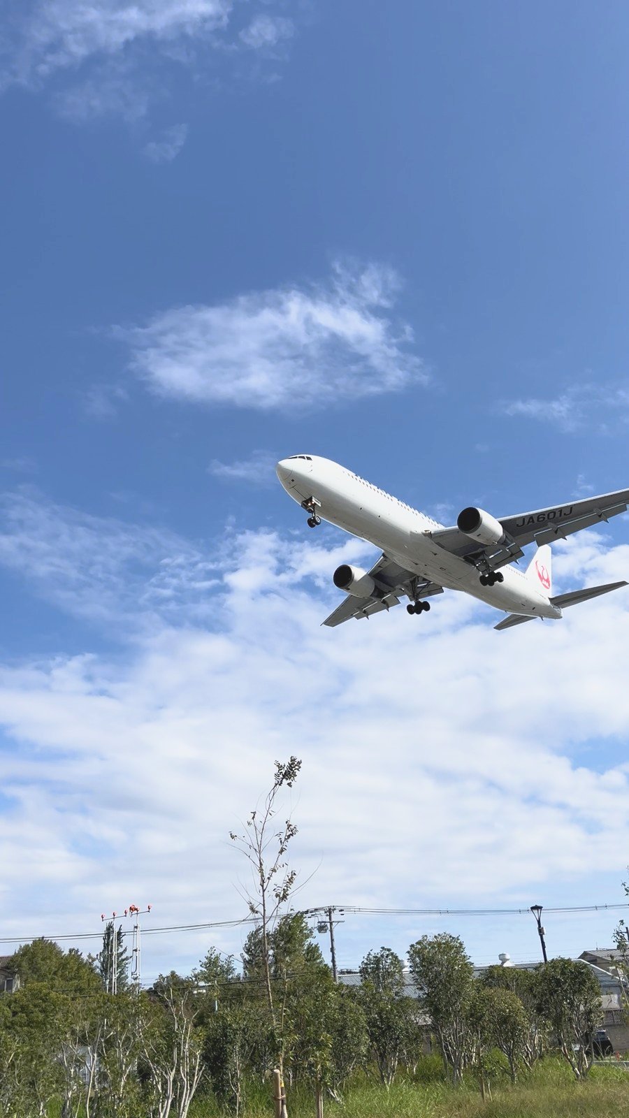 青空を背にして降りてくるJALの飛行機