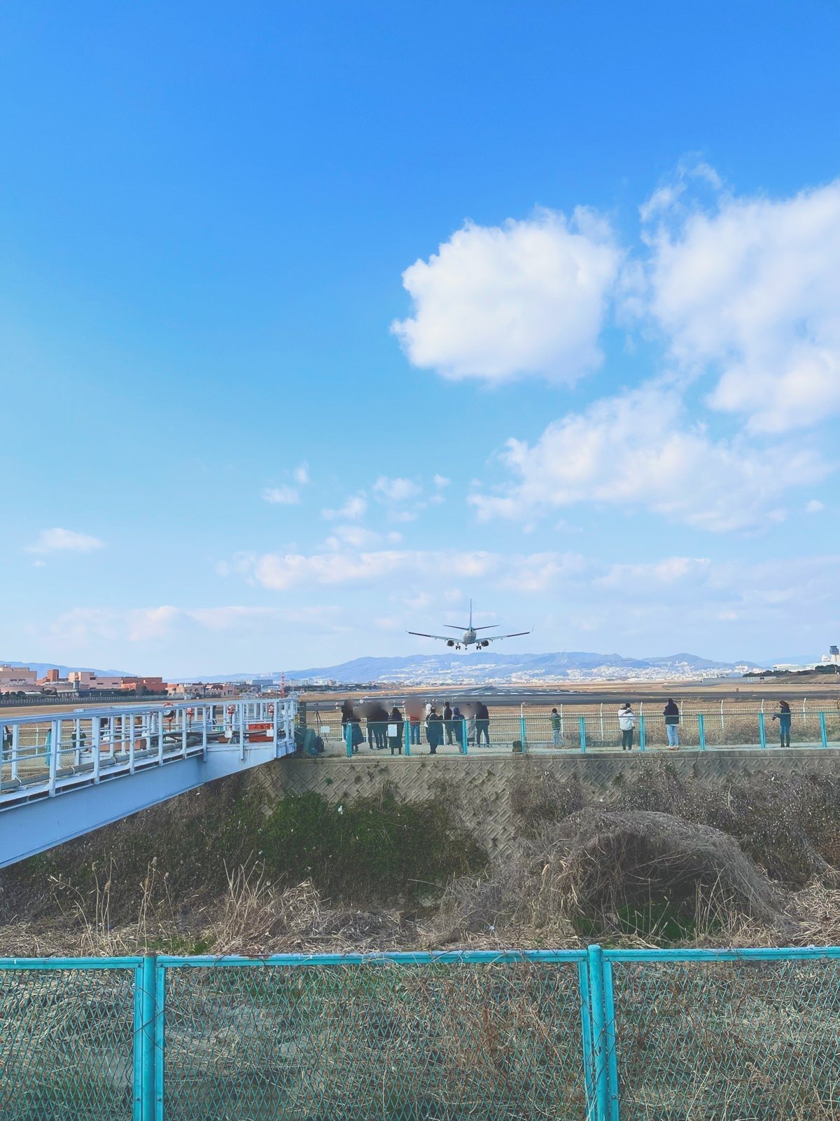 着陸態勢で近づいてくる飛行機