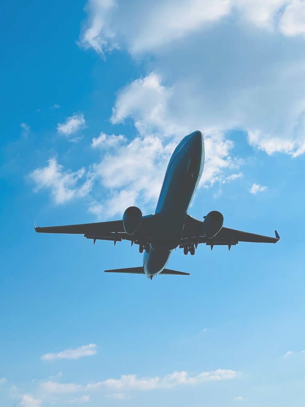 真下から見上げた飛行機の機体